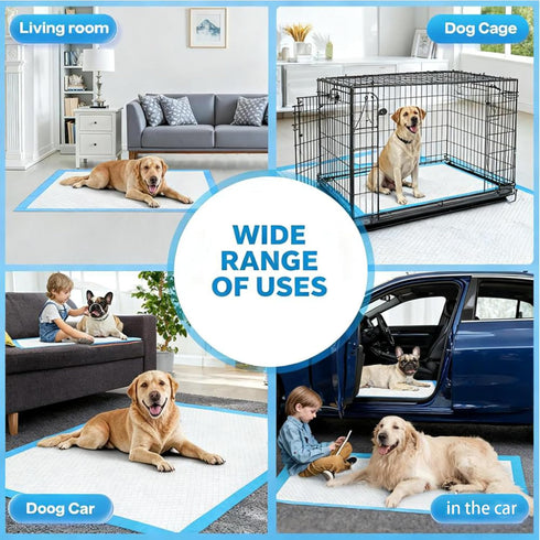 Generic 40 Pack 31x55 Inch-6-Layer XXXXL Extra Large Puppy Pads Thick Dog Training Pads with Quick-Dry Technology-Odor