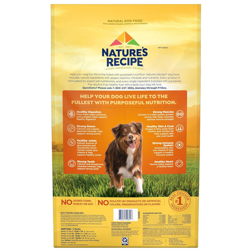 Nature’s Recipe Grain Free Chicken, Sweet Potato & Pumpkin Recipe Dry Dog Food, 24 lb Bag