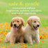 Burt's Bees for Pets Puppies Tearless 2 in 1 Shampoo and Conditioner, Made with Buttermilk and Linseed Oil, 16 Oz, 6