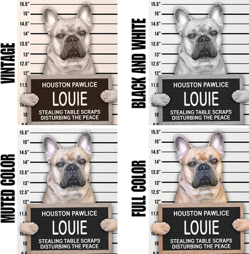 Dog Mugshot Custom Pet Mugshot, Personalized Gift for Your Dog, Cat or Pet