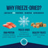 100% 2.75 oz ~55 65% Stewart Wild Salmon Dog Treats, Tub, Pieces, Freeze Dried Raw, Single Ingredient, Protein Training