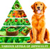 33.5 19.7 Snuffle Mat for Dogs - x Pet Food & Dog Feeding Mat Best Dog Boredom & Enrichment Toys for Large and Medium