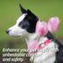 Soft Padded Dog Collar, Adjustable Heavy Duty Collar with 3M Reflective Logo, Camo Pink, Medium