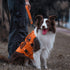 OneTigris BOLT Short Traffic Dog Leash for Small, Medium, Large Dogs (Orange, S)