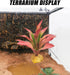 Woyrise Reptile Plants Succulent, Artificial Desert Plant for Terrarium Decor, Bearded Dragon Tank Accessories fit