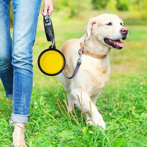 3 Collapsible Silicone Dog Bowls, Foldable Expandable Cup Dish for Small Pet Cat Food Water Feeding, Portable Travel