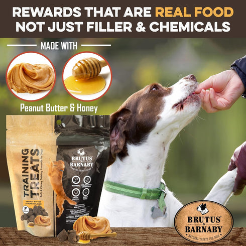 BRUTUS & BARNABY Training Treats for Dogs, Peanut Butter & Honey, All-Natural Healthy Low Calorie Treat