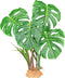 Komodo Reptile Terrarium Monstera Leaf Plant with Weighted Base | Extra Large