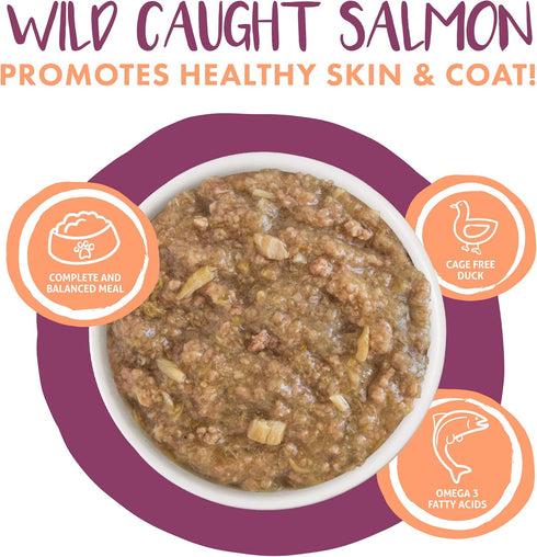 Weruva Classic Cat Stews, Stick A Spork in It with Duck & Salmon in Gravy, 3oz Pouch (Pack of 12).