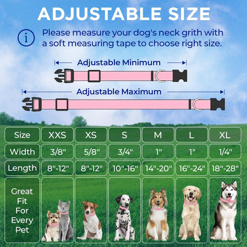 TECEUM Reflective Dog Collar – Pink – M – Basic Nylon Pet Collar, Quick Release Buckle
