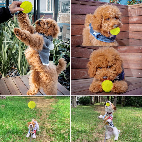 LaRoo Squeaky Dog Ball Toy, Durable Natural Rubber Chew Toy for Small Medium Large Dogs, Floating Training (6.5CM Green)