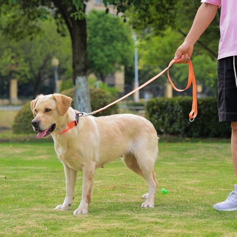 Waterproof Dog Collar with Quick Release Buckle, Easy to Clean Rubber Collars for Small Medium Large Dogs (Orange, L