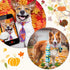 Eccliy 120 Pcs Thanksgiving Dog Bows Ties Collars, Adjustable Pumpkin Turkey Maple Leaves Pattern for Dogs Cats