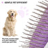 Pet Grooming Brush - Two-Sided Design for Dogs, Cats & Other Animals with Fur Detangling Pins & Coat Smoothing Slicker