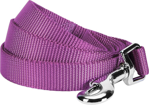 Blueberry Pet Essentials Durable Classic Dog Leash - Basic Nylon Dog Leash - 5ft. x 5/8" Small Dog Leash - Violet