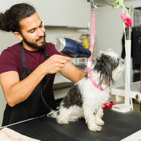 5 Pcs Pet Grooming Loops, Nylon Bathing Tether Straps, Adjustable Fixed Safety Rope for Grooming Table, Vibrant Colors
