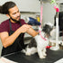 5 Pcs Pet Grooming Loops, Nylon Bathing Tether Straps, Adjustable Fixed Safety Rope for Grooming Table, Vibrant Colors