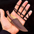 Neck Knife with Sheath, Damascus Hunting Knife, Mini Outdoor Survival Fixed Blade Knife, EDC 5 Inches with Wood Handle