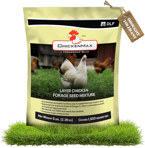 DLF Chicken Max Forage Seed Mixture for Chickens, Poultry, and Farms Layer