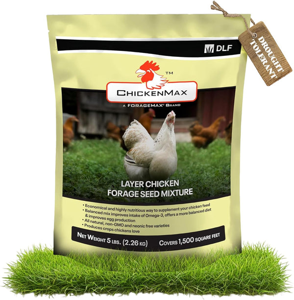 DLF Chicken Max Forage Seed Mixture for Chickens, Poultry, and Farms Layer