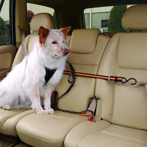Kurgo Auto Zip Line - Backseat Zipline Harness for Car Travel - Dog Car Accessory for Safe Rides - Adjustable Pet