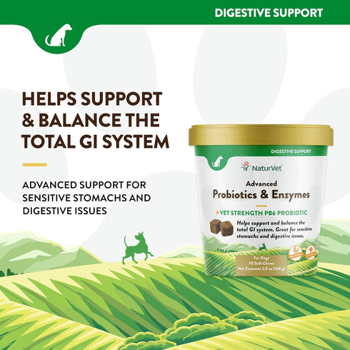 NaturVet Advanced Probiotics and Enzymes Supplement, Plus Vet Strength PB6 Probiotic, 70 Soft Chews Made in the USA