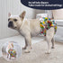 3 Pack WWD27XS CuteBone Washable Dog Diapers Female No Tail Hole Reusable Doggie Period Training Pants for Docked-Tail