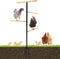 Extra Large Chicken Perch,Wooden Chicken Toys with Metal Ground Plug, Outdoor Birds