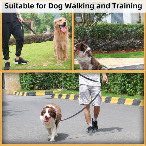 AMAGOOD 6 FT Puppy/Dog Leash, Strong Durable Traditional Style with Easy to Use Collar Hook, Black