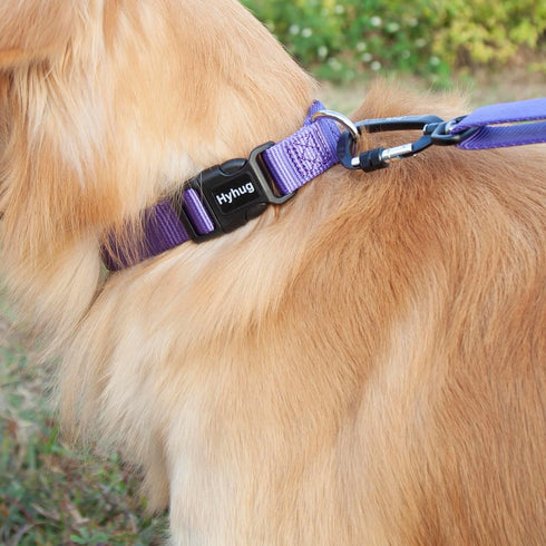 Hyhug Pets Solid Color Classic Regular Soft Nylon Collar for Medium Breeds Dogs, Ultra Violet