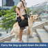 Emergency Dog Carry Sling, Pet Legs Support & Rehabilitation Harness for Senior Dogs with Joint Injuries (M, Black)