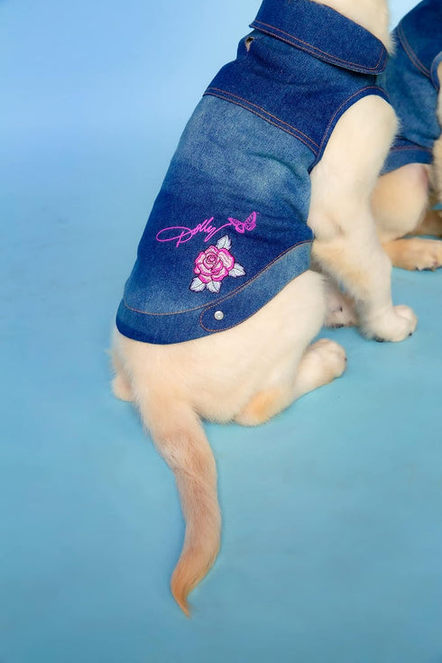 Dolly Doggy Parton Blue Denim Jacket with Collar for Dogs, Stylish Dog Apparel