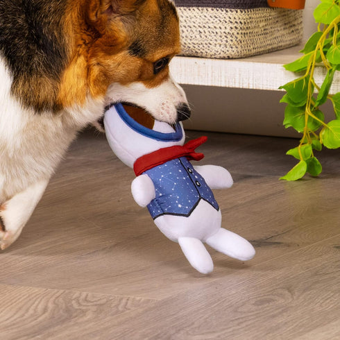 Furhaven 2-Pack Squeaky Plush Dog Toys for Small/Medium Dogs, Washable with Ruff Stuff Reinforcement