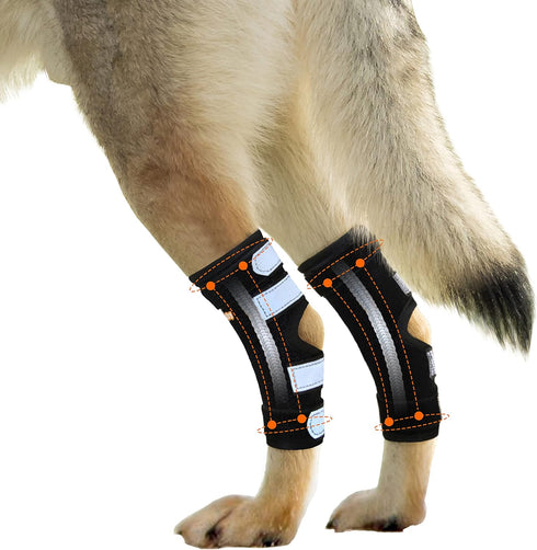 NeoAlly Rear Leg Hock Brace for Large Dogs, Metal Spring Strips for Hock & Ankle Support, Medium Size