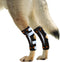 NeoAlly Rear Leg Hock Brace for Large Dogs, Metal Spring Strips for Hock & Ankle Support, Medium Size
