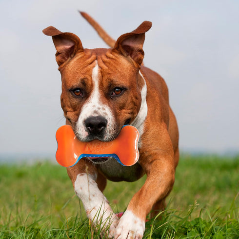 Nerf Dog 7in TPR EXO Squeak Bone - Blue/Orange Color