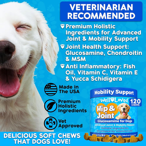 120 Well Loved Glucosamine for Dogs - Joint Supplement for Dogs, Made in USA, Vet Developed, Glucosamine Chondroitin