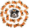 20pcs Shiny Halloween Pumpkin Hair Bows for Pet Dog Cat, Hair Accessories with Rubber Bands for Thanksgiving
