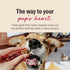 The Honest Kitchen Parmesan Pecks - Chicken, Parmesan & Cranberry Recipe, 8 oz Bag