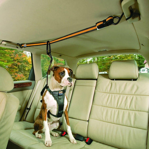 Kurgo Auto Zip Line - Backseat Zipline Harness for Car Travel - Dog Car Accessory for Safe Rides - Adjustable Pet