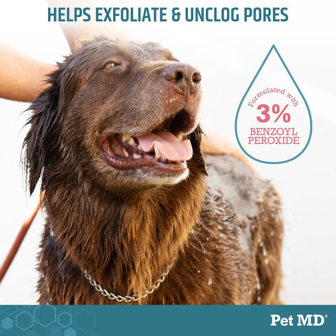 (16oz) Pet MD Benzoyl Peroxide Shampoo for Dogs & Cats - Helps Remove Dead Skin, Unclog Pores, and Manage Mange