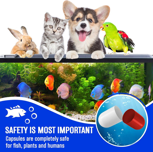 Bio Capsules for Aquarium Water Treatment (awC10pcs)