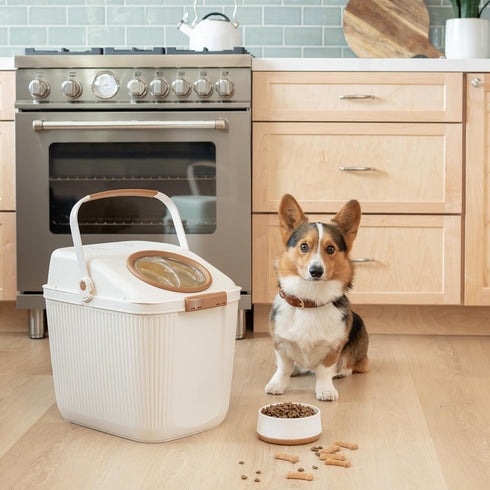 Harry Barker Small Plastic Modern Dog Bowls - 2 Pack