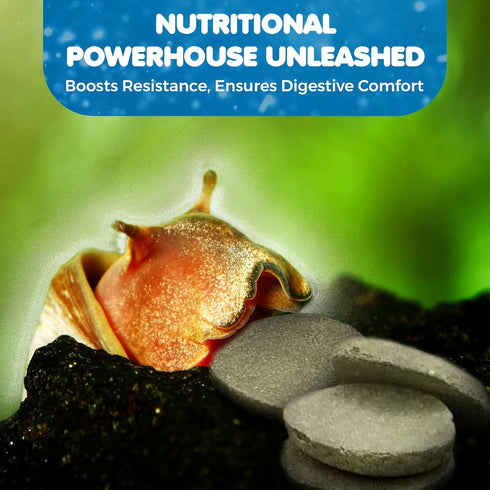 SunGrow Spirulina Protein Food Wafer for Shrimp, Hermit Crab, Pleco, Catfish, Treat for Chinchilla & Guinea Pig
