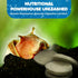 SunGrow Spirulina Protein Food Wafer for Shrimp, Hermit Crab, Pleco, Catfish, Treat for Chinchilla & Guinea Pig
