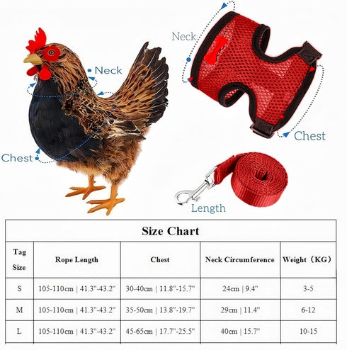 Magnoloran 3 Pack Set Chicken Harness and Leash Adjustable Hen Vest with Matching Belt Breathable Mesh Training Harness