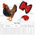 Magnoloran 3 Pack Set Chicken Harness and Leash Adjustable Hen Vest with Matching Belt Breathable Mesh Training Harness
