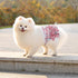 3 Pack Washable Dog Diapers Female Reusable Premium Highly Absorbent Doggie Diapers, Flexible Puppy Diapers, Durable