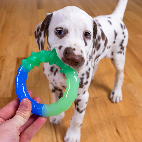 Orka Grow-with-Me-Ring Dog Chew Toy by Petstages