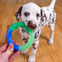 Orka Grow-with-Me-Ring Dog Chew Toy by Petstages